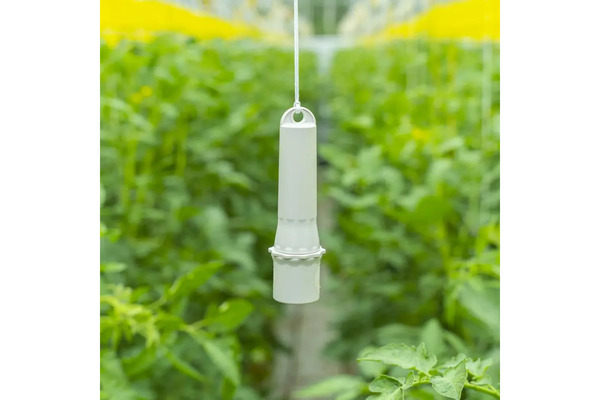 CO2 and Temperature Sensor