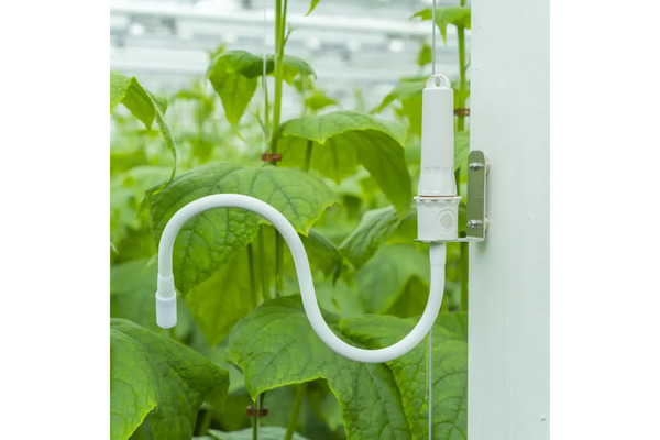 IR Plant Temperature Sensor
