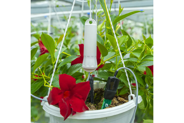 Soil Moisture Sensor