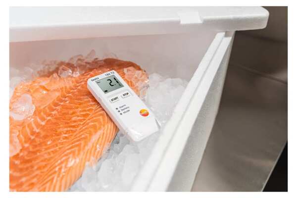 testo 184 T2